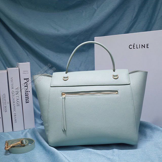 Celine女包 賽琳掌紋牛皮大號手提包 Celine belt bag鯰魚包 189103  slyd2051